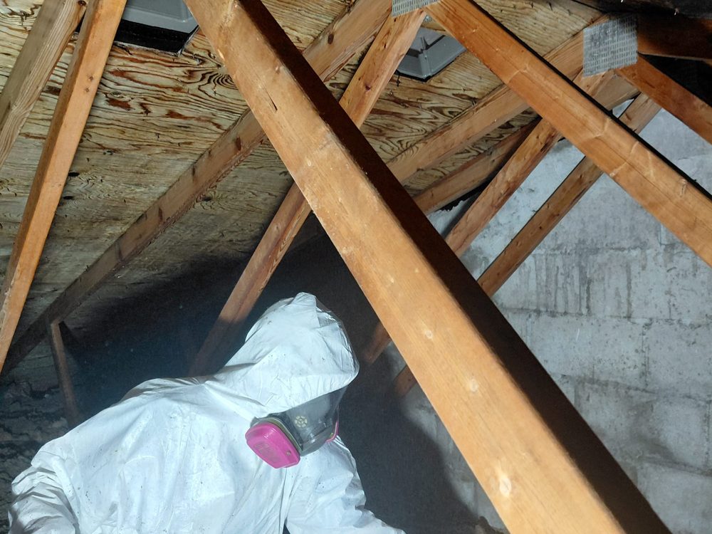 Barrios technician in full protective equipment working between attic rafters