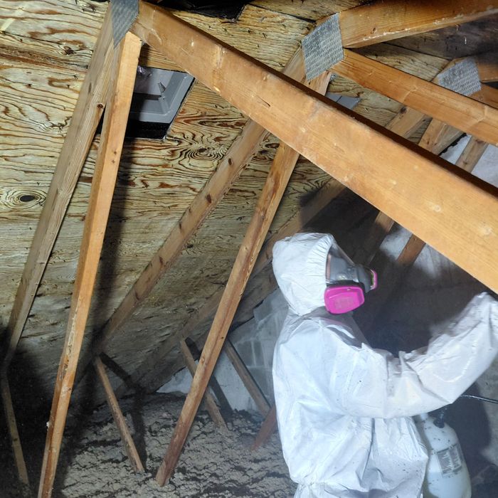 Technician in full PPE treating attic sheathing