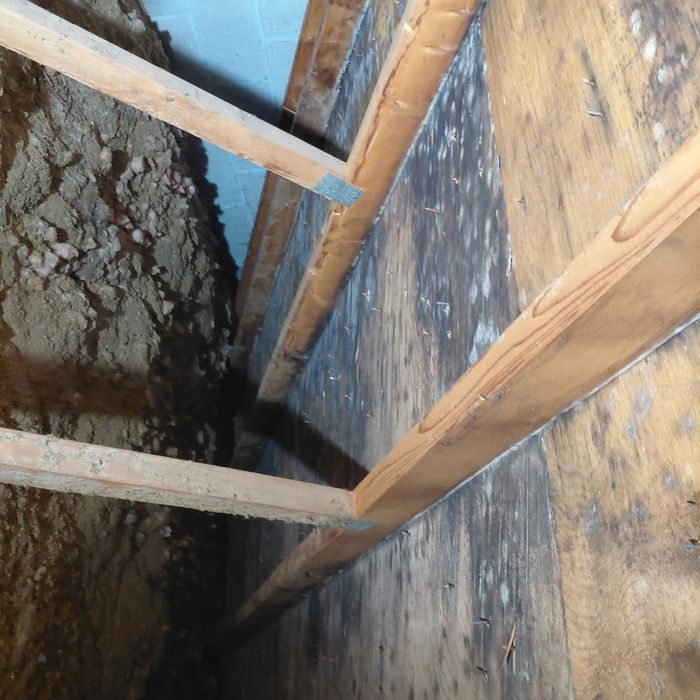 Heavy mold growth on attic sheathing before remediation