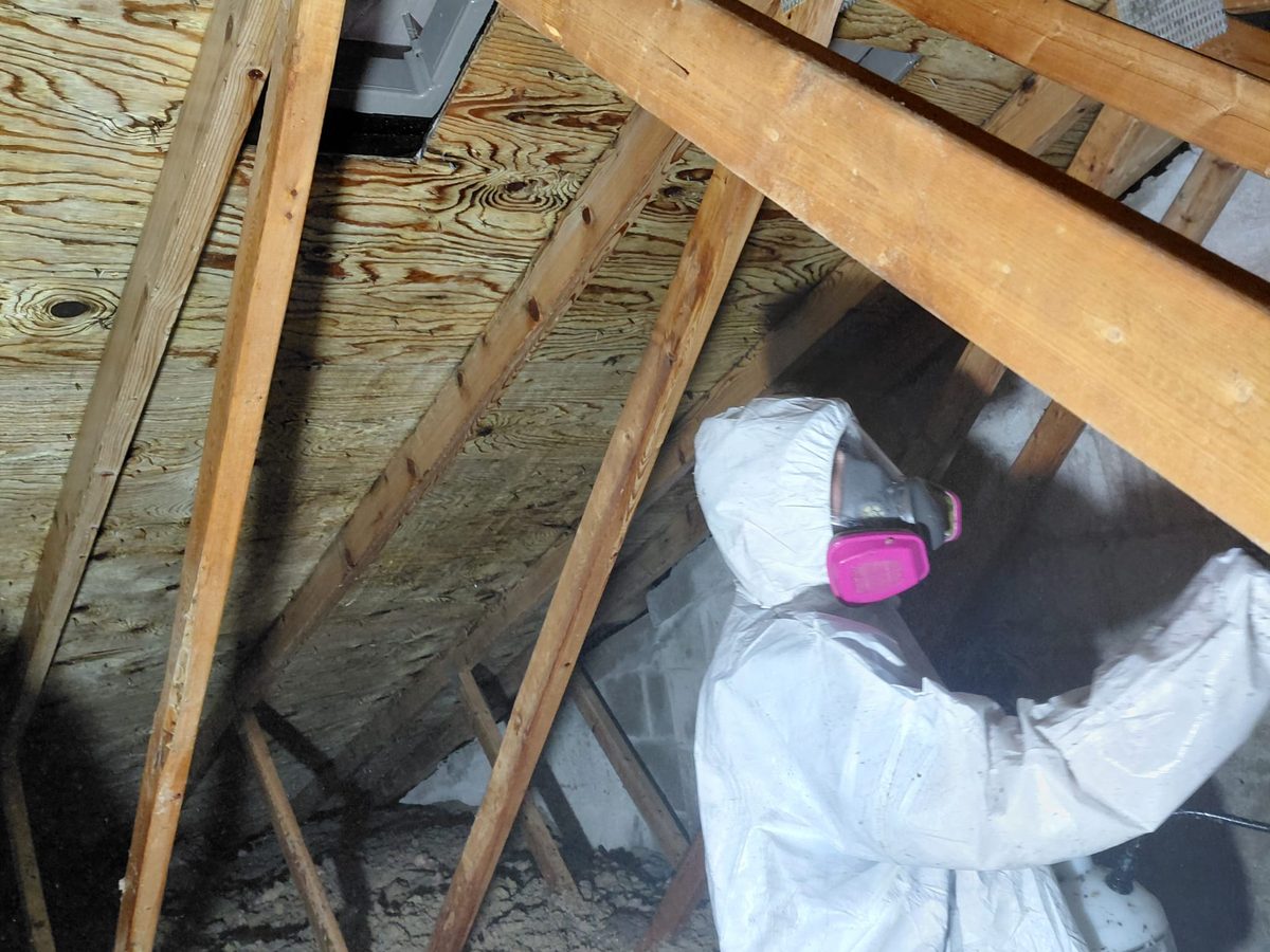 Barrios technician in a hooded protective suit and P100 respirator treating attic roof sheathing
